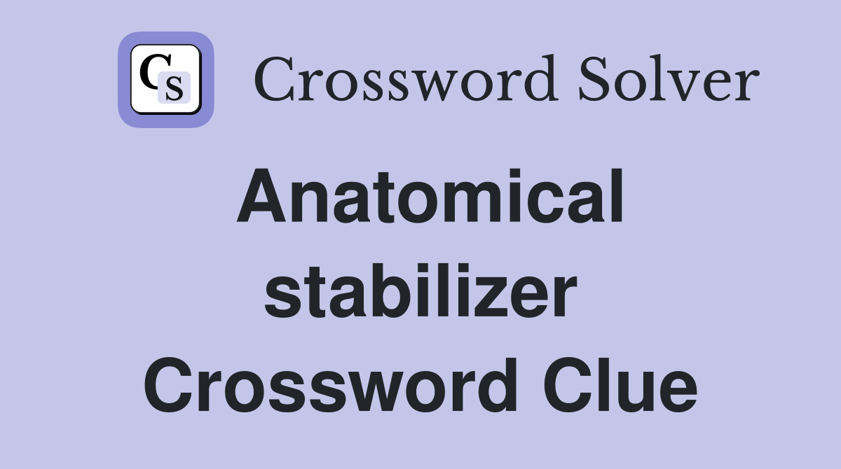 Anatomical stabilizer - Crossword Clue Answers - Crossword Solver